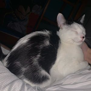 Meet your Posher, Jacob